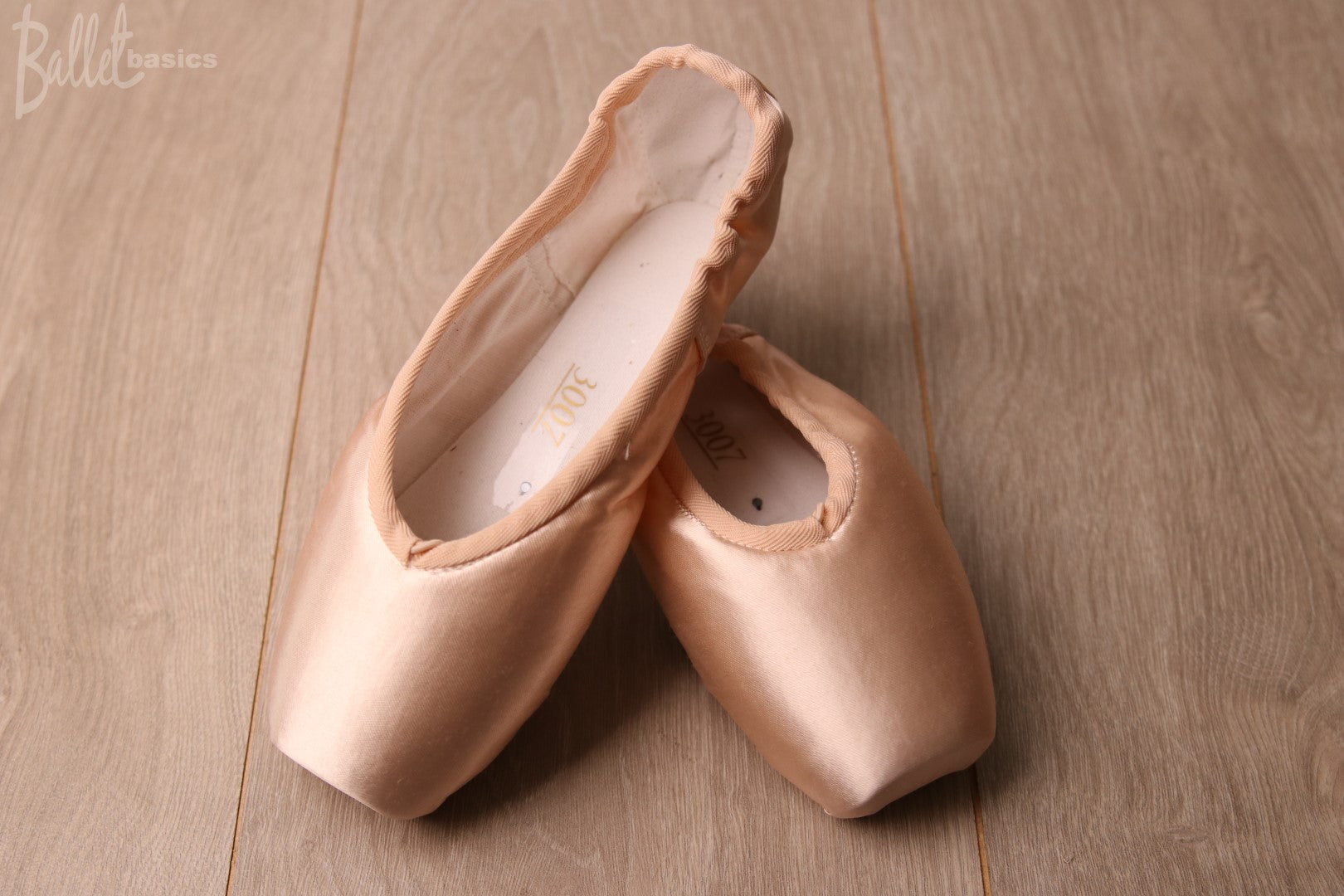 grishko ballet shoes