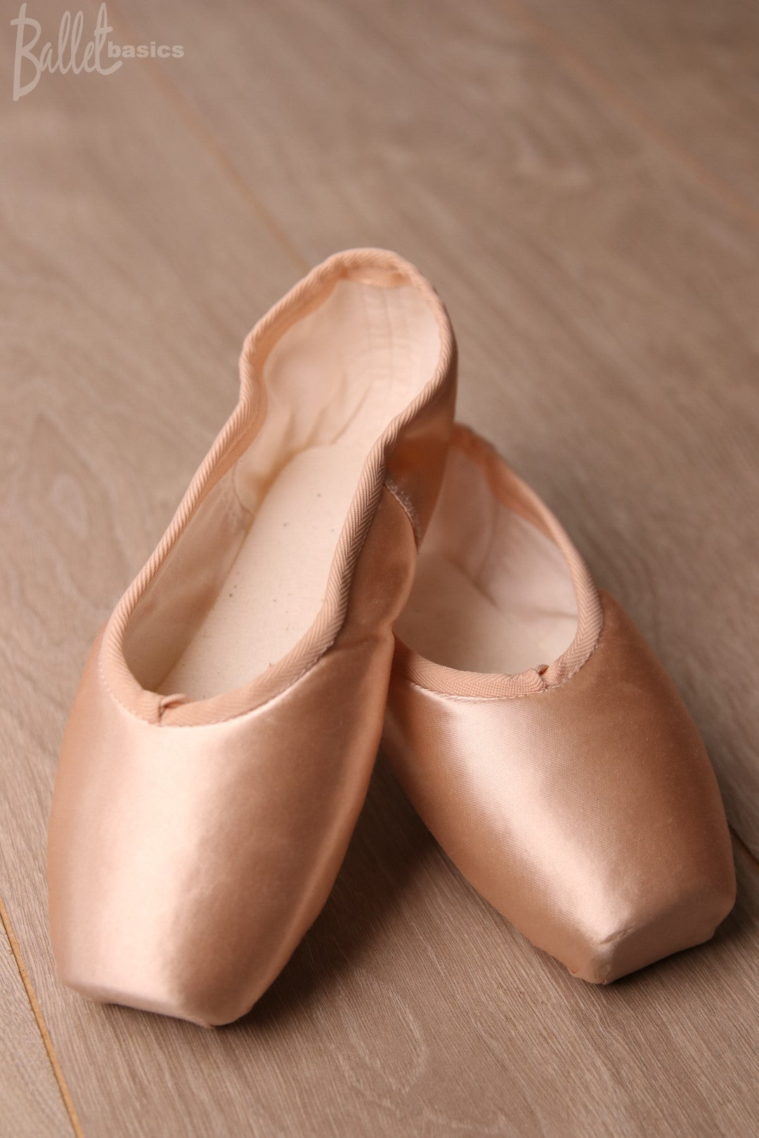 Dream 2007 Soft Flex Pointe Shoes