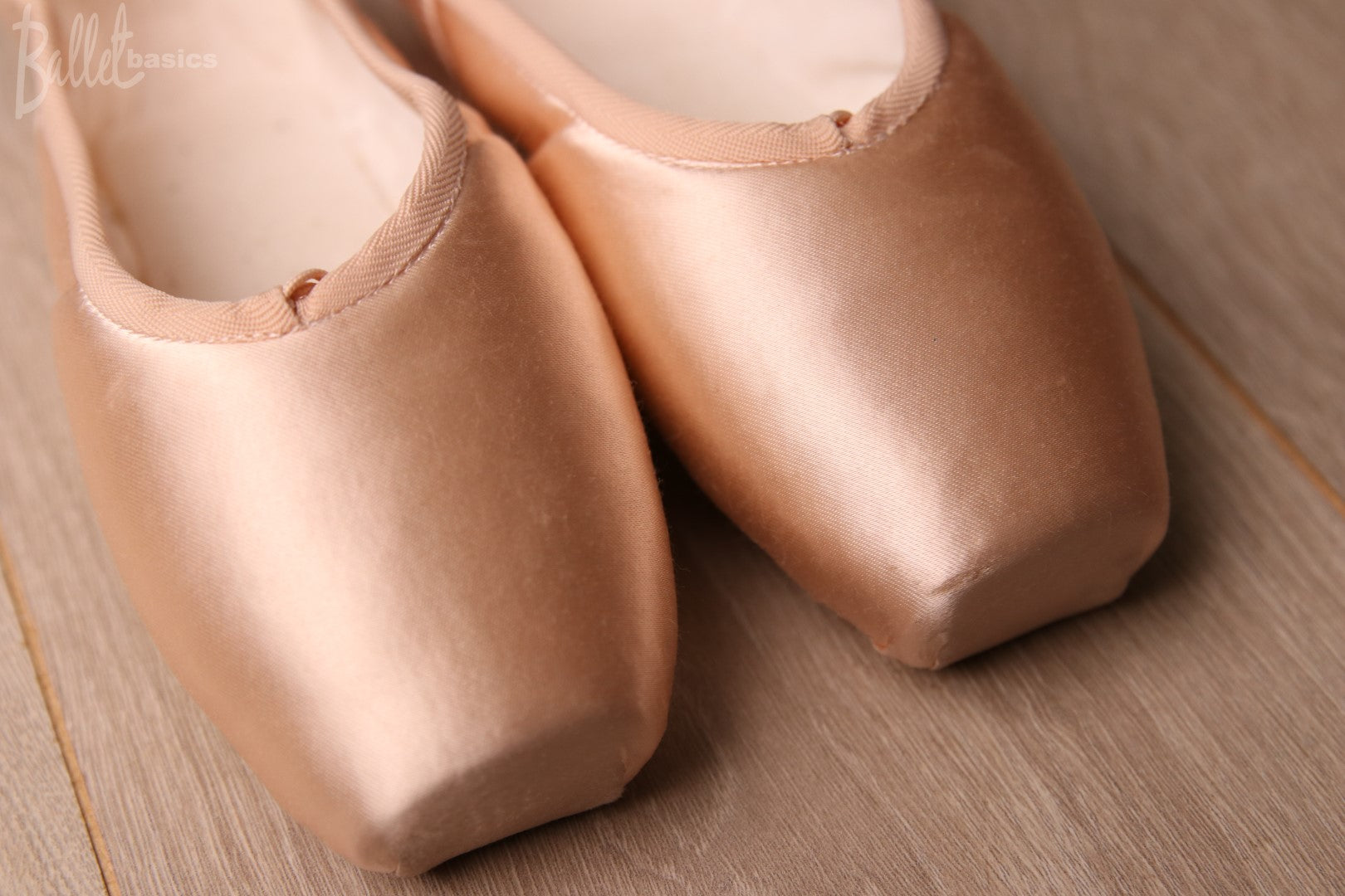 Grishko Dream Pointe